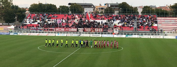 Stadio Tonino Benelli is one of Sport a Pesaro: dove seguirlo e dove praticarlo.