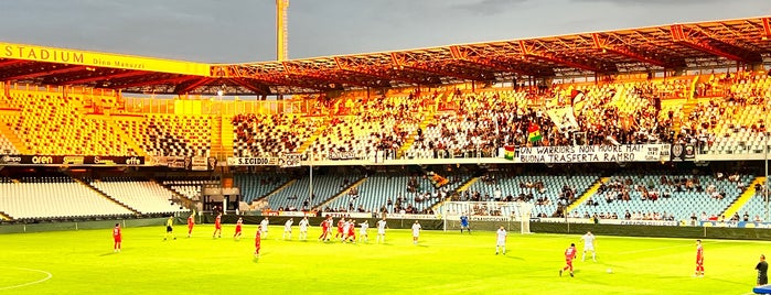 Orogel Stadium Dino Manuzzi is one of I miei posti.