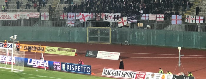 Stadio Armando Picchi is one of イタリア.