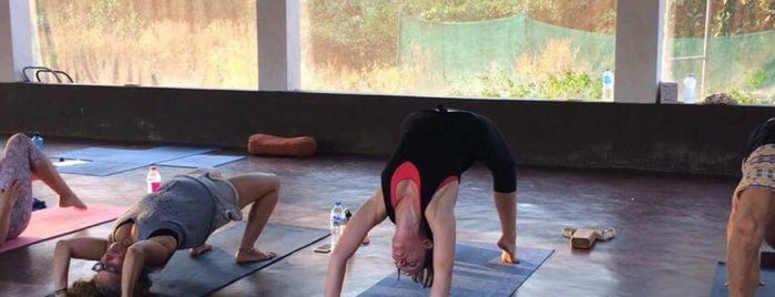 Mahi Yoga is one of Гоа.