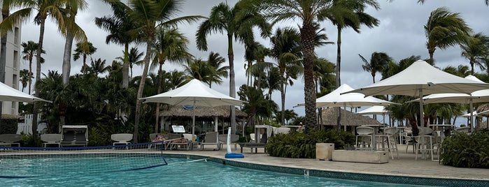 Renaissance Swimming Pools is one of Aruba..