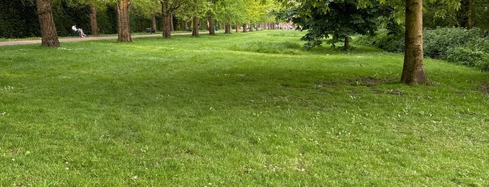 Bute Park is one of UK 2018.