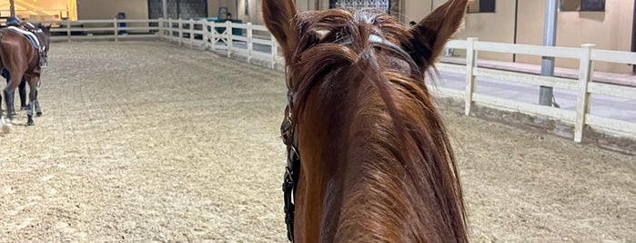 AlNemer Equestrian Center مركز النمر للفروسية is one of Riyadh.