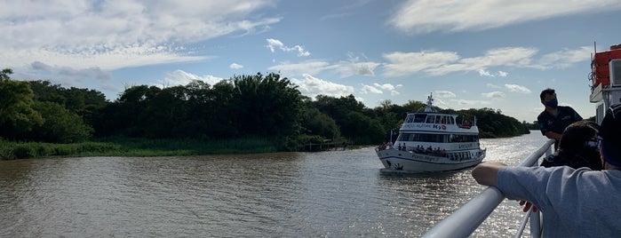 Cisne Branco is one of Porto Alegre.