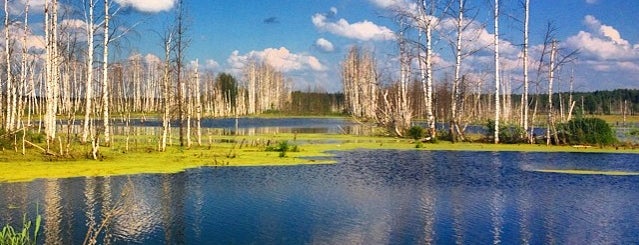Московская область is one of Tempat yang Disukai Anna.