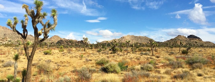 Joshua Tree National Park is one of Meilissa’s Liked Places.