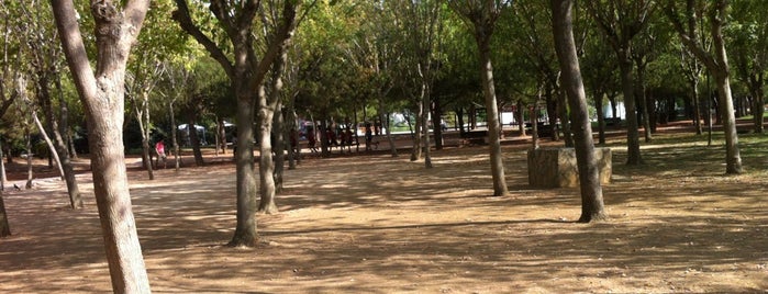 Özgürlük Parkı is one of Nilgun☀️☀️☀️さんのお気に入りスポット.