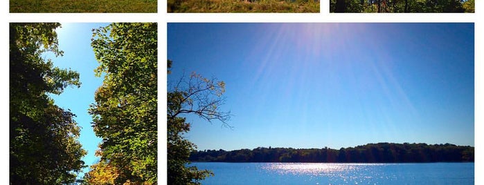 Eagle Creek Park is one of Dog-Friendly Indianapolis.