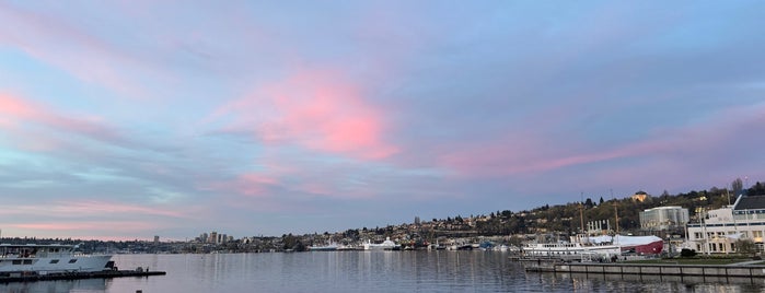 Lake Union Park is one of 🇺🇸(SEA).