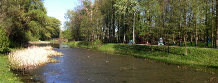 Центральний міський Парк is one of Chernihiv.