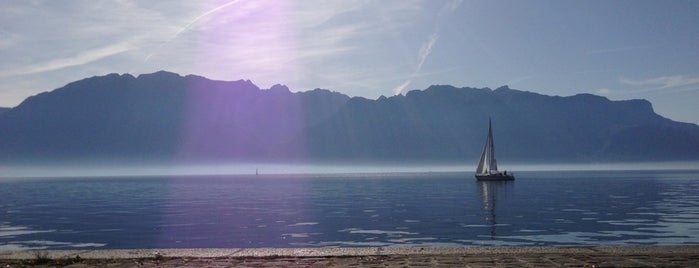 Vevey Beach is one of Alexeyさんのお気に入りスポット.