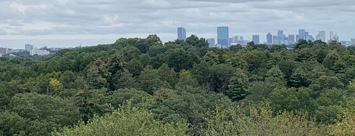 Peters Hill is one of New boston.