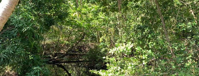 Reserva Natural Humacao is one of 🌲naturaleza PR 🍃.
