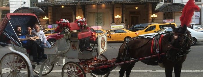 Central Park Carriage Horse Ride is one of barbee : понравившиеся места.