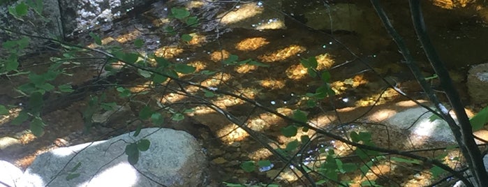 Ammonoosuc Ravine Trailhead is one of Orte, die barbee gefallen.