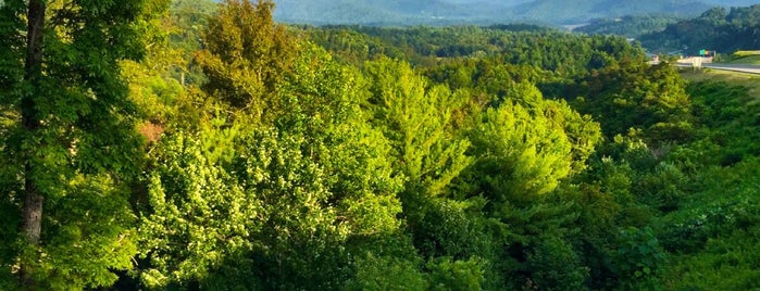 I-26 W Scenic Overlook is one of Lieux qui ont plu à barbee.