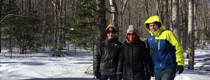 Grafton Notch State Park is one of Dana'nın Beğendiği Mekanlar.