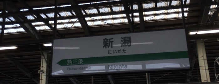 Shinkansen Niigata Station is one of Major Mayor 2.