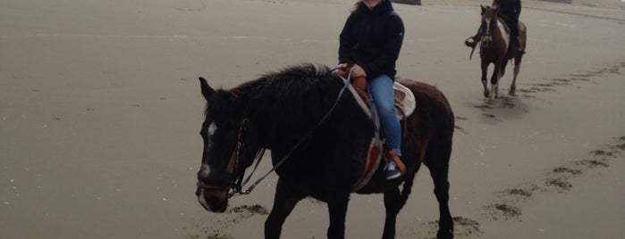 Bandon Beach Riding Stable is one of Fav places.