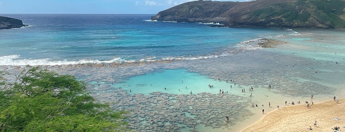 Hanauma Beach is one of Hawaii.