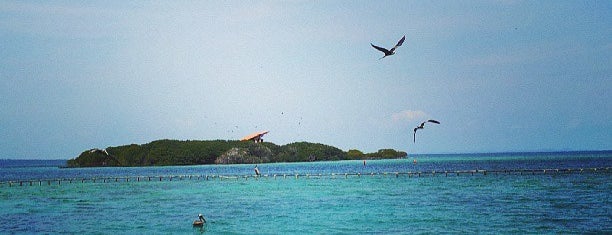 Oceanario Islas del Rosario is one of Favoritos.