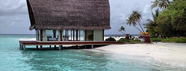 Angsana Resort & Spa Maldives Velavaru is one of Tourism.