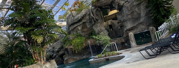Biosphere Pool is one of Outskirt adventures.