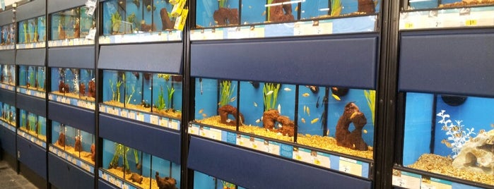 Petco is one of Jessさんのお気に入りスポット.