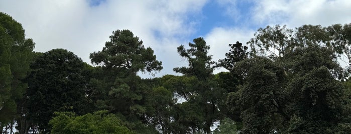 Adelaide Botanic Garden is one of MEL.