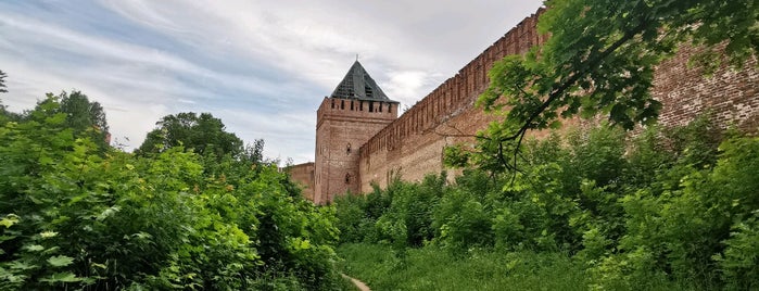 Башня Орёл (Городецкая) / Oryol (Gorogetskaya) Tower is one of Смоленск.