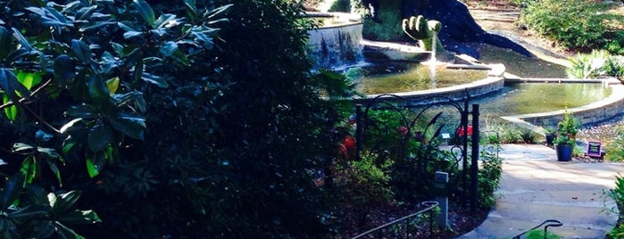 Atlanta Botanical Garden is one of C&Y ATL Things to Do.