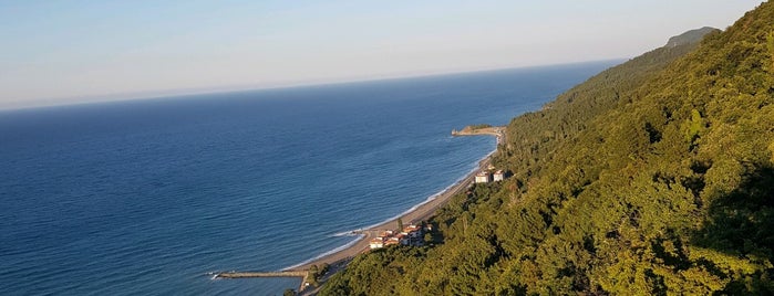 Abana Kent Ormanı is one of Kastamonu - Things To Do.
