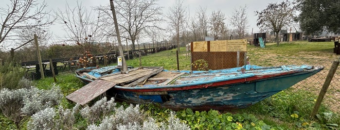 Isola di Torcello is one of Northern Italy.