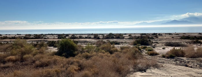 Salton Sea State Recreation Area is one of Desert Dreamin'.