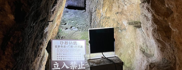Ryūgenji Mabu Mine Shaft is one of 歴史的建造物（寺社仏閣城址ほか）.