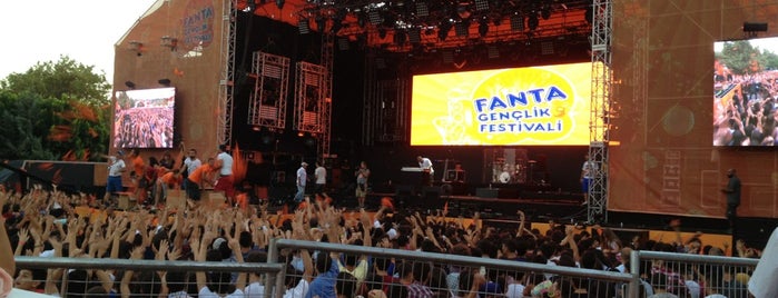 Fanta Gençlik Festivali 2013 is one of Lugares favoritos de Mehmet.