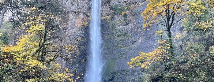 Multnomah Falls is one of Tempat yang Disukai Dianna.