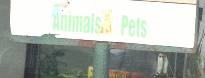 Animals and Pets is one of Tempat yang Disukai Omar.