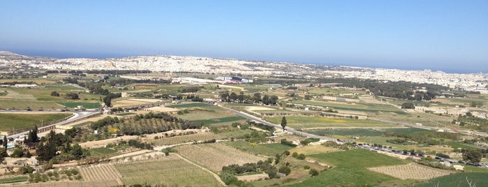 Fontanella Tea Garden is one of Malta.