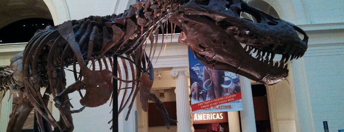 Museo Field de Historia Natural is one of Chicago Must.