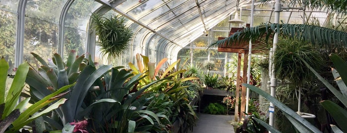 Volunteer Park Conservatory is one of Seattle Favorites.