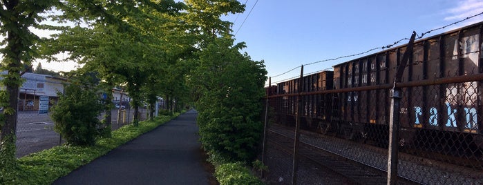 Elliott Bay Trail/Terminal 91 Bike Path - North End is one of Larissaさんのお気に入りスポット.