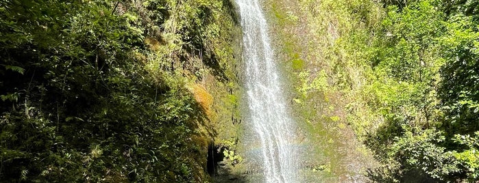 Lulumahu Falls is one of Hawaii.