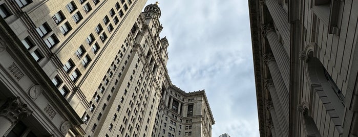 Manhattan Municipal Building is one of Big Apple Venues.