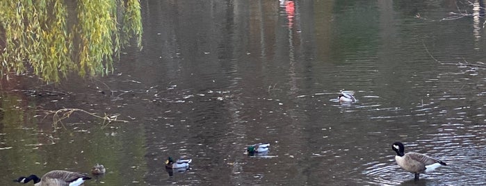 The Pool Field is one of Central Park.