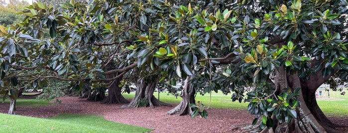 Lyne Park is one of Sydney Urban Max 2011.