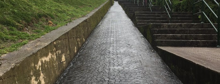 Camino de Santiago is one of World Heritage Sites - North, East, Western Europe.