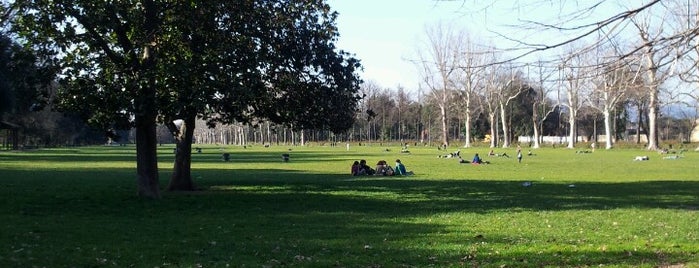 Parco delle Cascine is one of Florence.