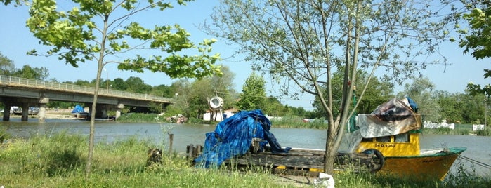 sakarya nehri (kopru) is one of สถานที่ที่ Hakan ถูกใจ.