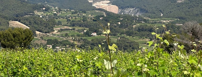 Domaines Bunan is one of Ludi‘s Provence.